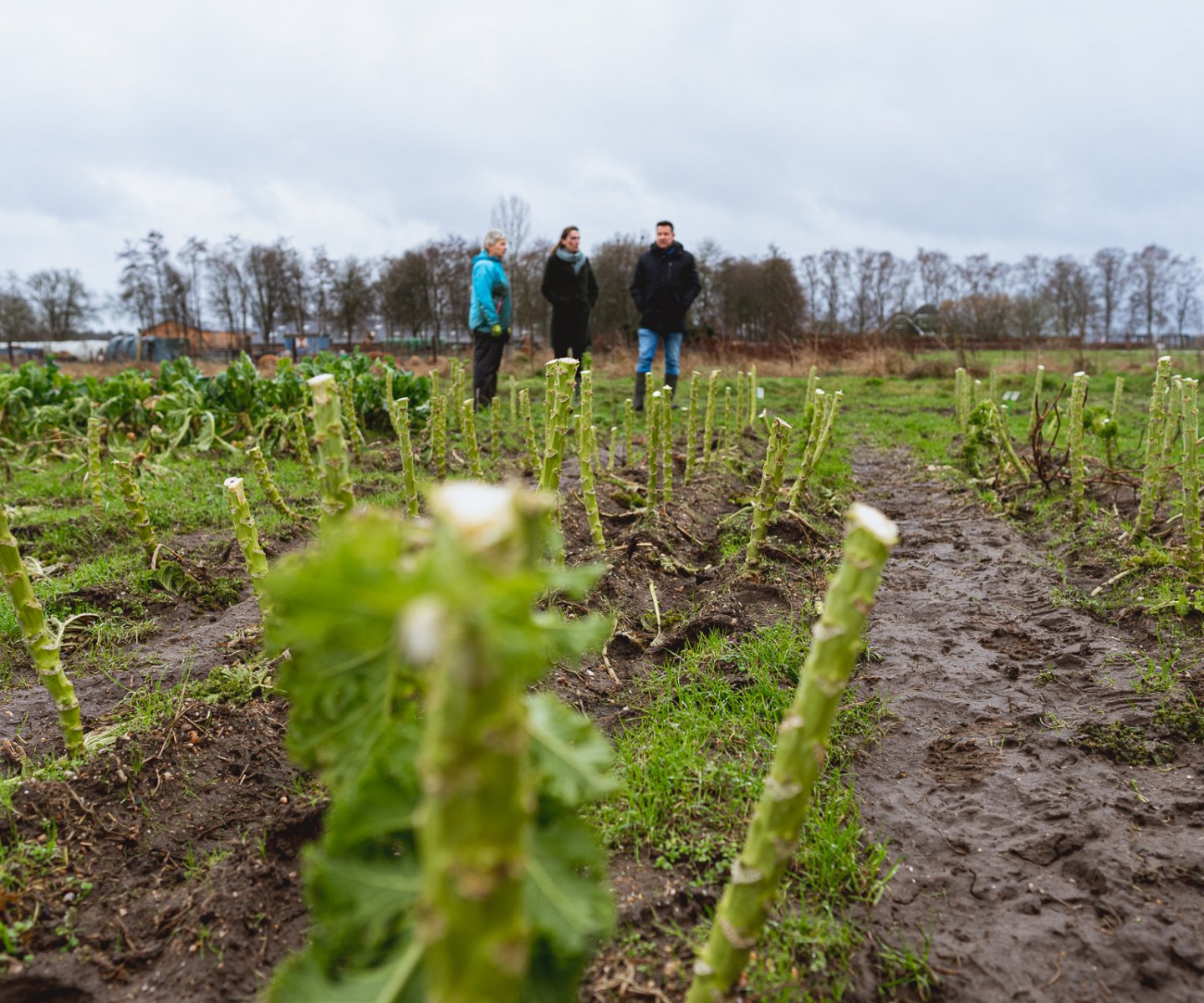 Stout Groep Lisa Franke en Rutger Vloet doorlopen een vruchtbaar participatieproces voor toekomstbestendiger landbouw in gemeente Apeldoorn